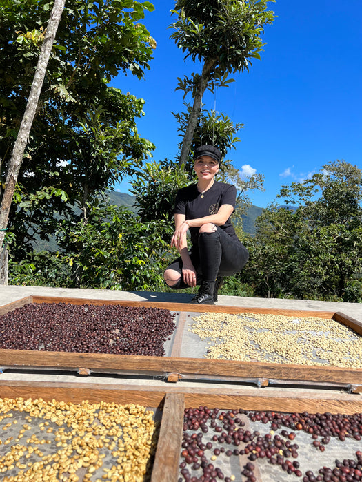 Café Metzli - Enrique López - Finca Chelín - Mujeres Candelaria - Oaxaca, México (Medium Roast) 12oz