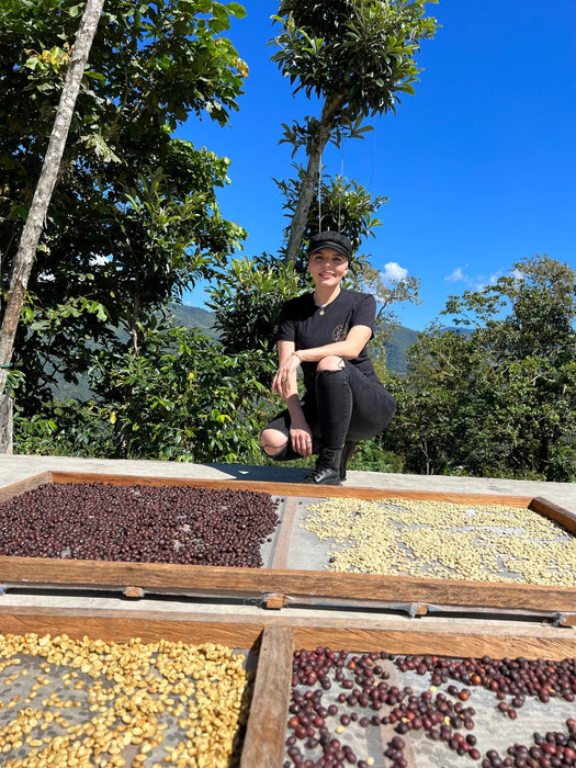 Café Metzli - Enrique López - Finca Chelín - Mujeres Zangolica Veracruz - Oaxaca, México (Medium Roast) 12oz - Café MetzliCafé MetzliCoffee