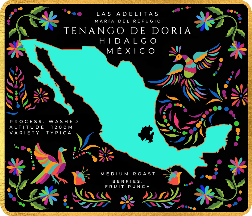 Las Adelitas - Maria Del Refugio - Tenango de Doria, Hidalgo, México (Medium Roast) 12oz - Café MetzliCafé Metzli