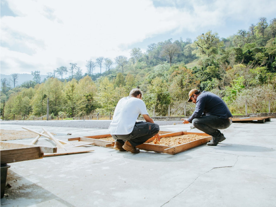 Cup of Excellence winning coffee producer Jose Arguello at Finca Santa Cruz