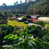 Finca Santa Cruz coffee farm in Chiapas Mexico Cup of Excellence winning origin