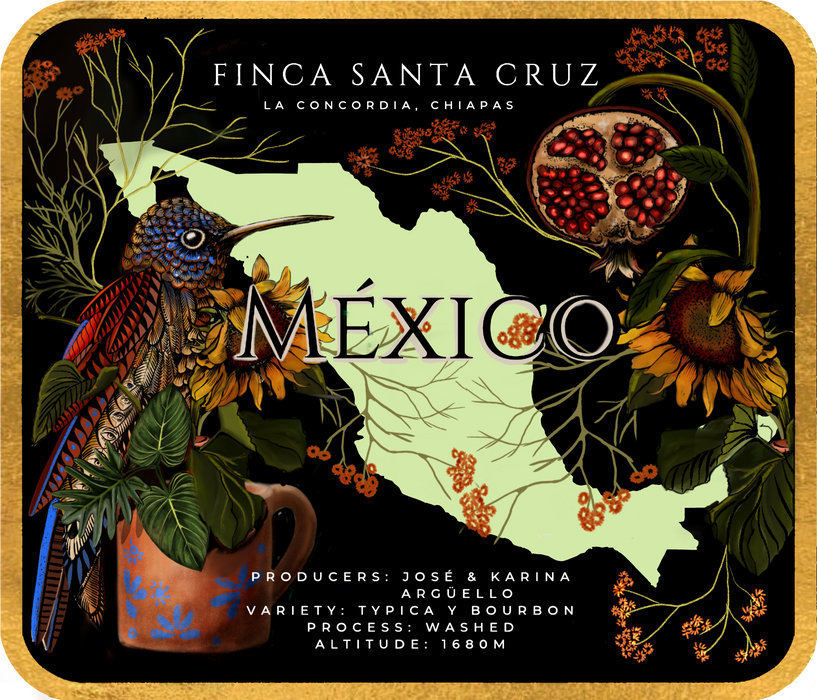Finca Santa Cruz – Cup of Excellence Mexico Winner Coffee